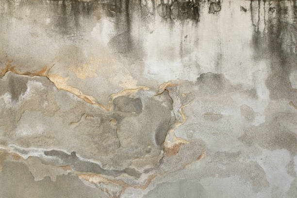istock grunge crack cement wall for background 1369683280