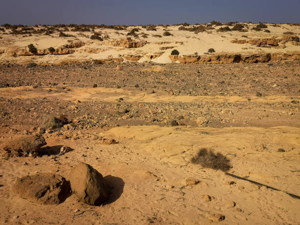 istock Bright dry surface in Africa 1369687073