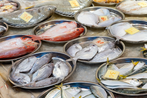 Middle East, Saudi Arabia, Madinah Province, Medina.  Colorful fresh fish at a market in Medina.