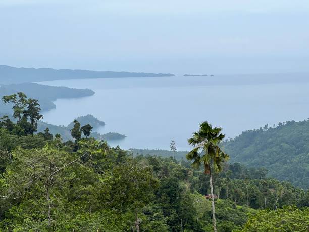 istock View from the top of the mountain 1369689604