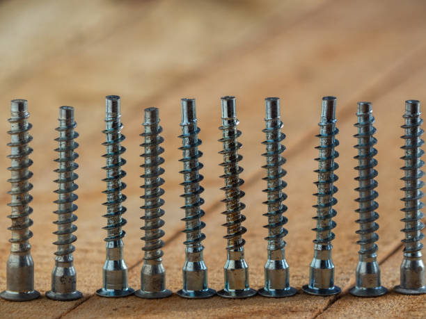 pernos de muebles. una fila de tornillos de muebles de metal en una superficie de madera. construcción y reparación - screw wood dowel fastening fotografías e imágenes de stock