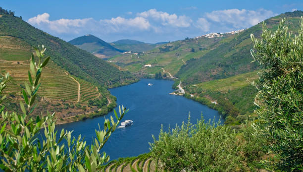 View to the famous Douro Valley in Portugal. The Alto Douro wine region is the oldest wine-growing region in the world and has been a UNESCO World Heritage Site since 2001.