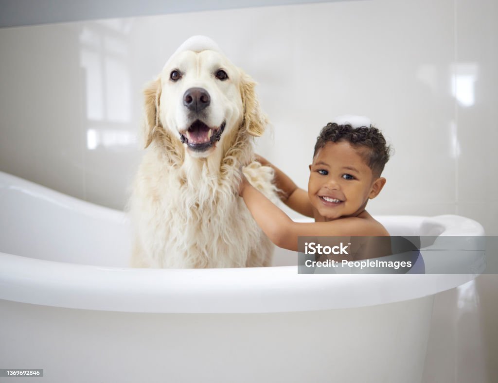 Shot of an adorable little boy sitting in the bathtub with his Golden Retriever during bath time at home We're clean boys Bathtub Stock Photo