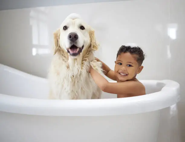 Photo of Shot of an adorable little boy sitting in the bathtub with his Golden Retriever during bath time at home