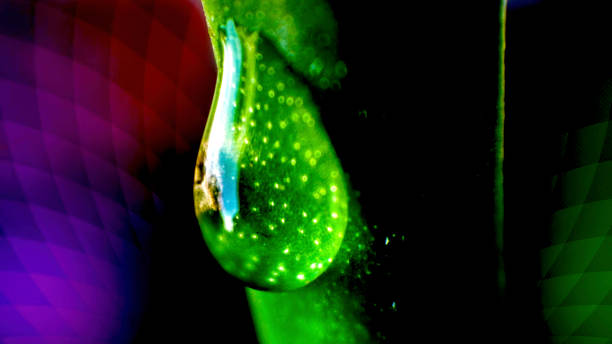 istock Water Drops on Aloe Vera Leaf 1369697495