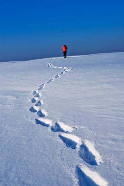 istock traveler in a winter desert 1369700733