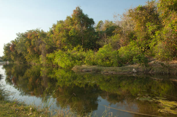 istock Hiran river as it passes through Sasan. 1369706478