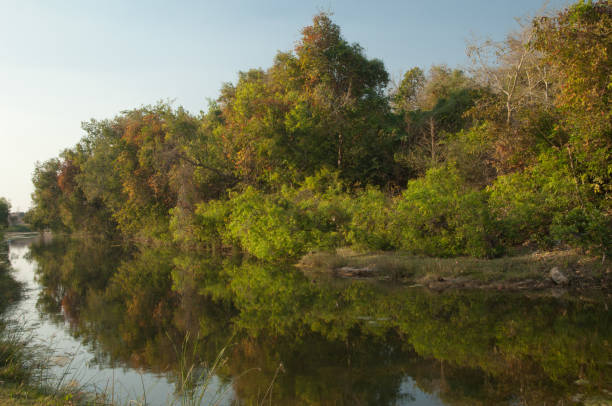 istock Hiran river as it passes through Sasan. 1369706479