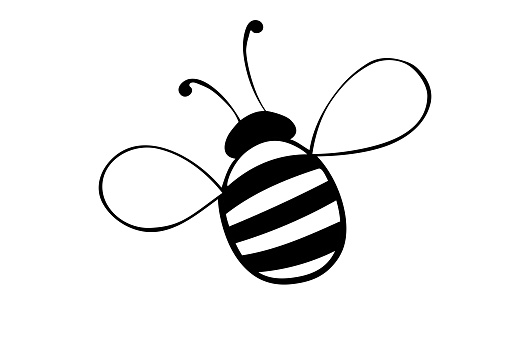 Vector black outline fat little bee in doodle style. Cute cartoon honey insect. Top view. Clipart, design element on theme of nature, spring, summer, isolated