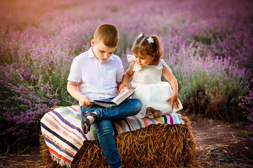 Two Children brother and sister are reading fairy tales book in the lavender field.