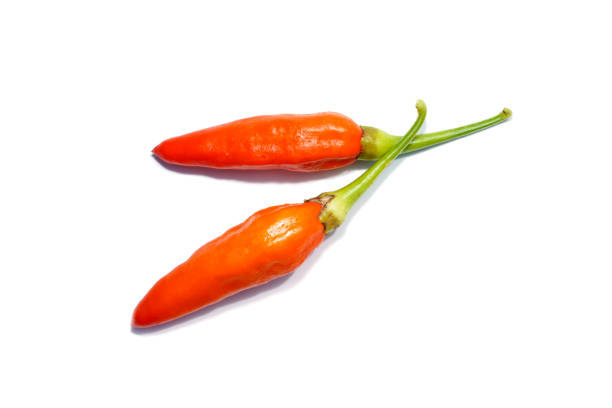 Close up Orange Chili, Chilli Pepper on white background. (Scientific name Capsicum frutescens)