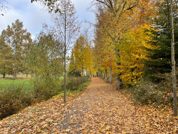 istock Autumn impression in the spa park Bad Schwalbach 1369711128