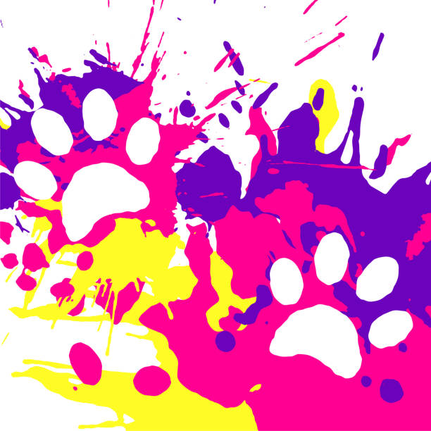 pads of cat paws in paint. Animal paw prints on splashes of watercolor paint back. Color vector isolated on white background track of cat footprints smeared in bright paint. Animal paw prints on splashes of watercolor paint back. Horizontal banner vector isolated on white background high heel footprint stock illustrations