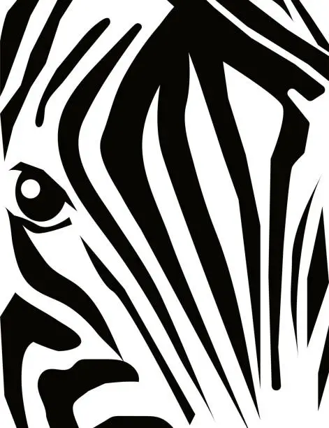 Vector illustration of Zebra head close up poster