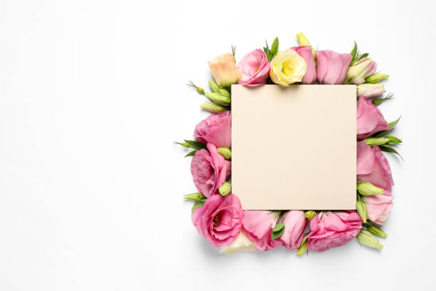 istock Beautiful Eustoma flowers and blank card on white background, flat lay. Space for text 1369714904