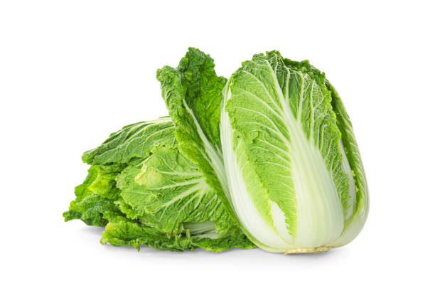 istock Fresh ripe Chinese cabbages on white background 1369716381