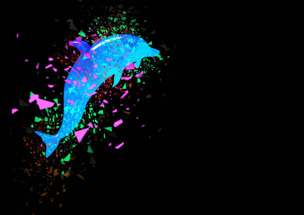 Illustration of a dolphin jumping with a splash