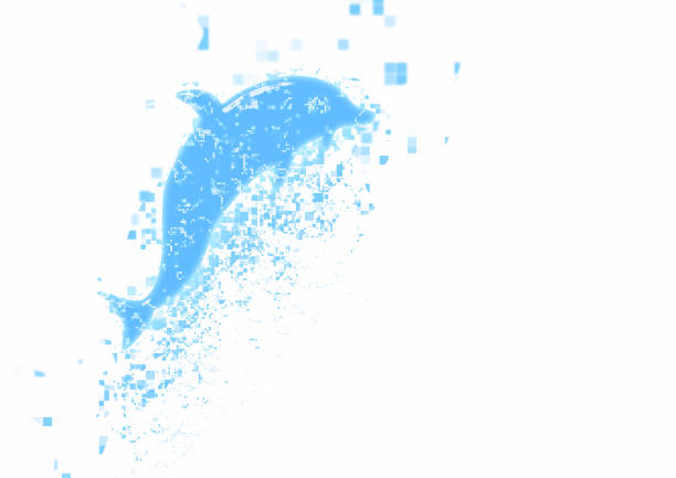 Illustration of a dolphin jumping with a splash