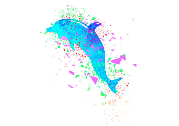 Illustration of a dolphin jumping with a splash