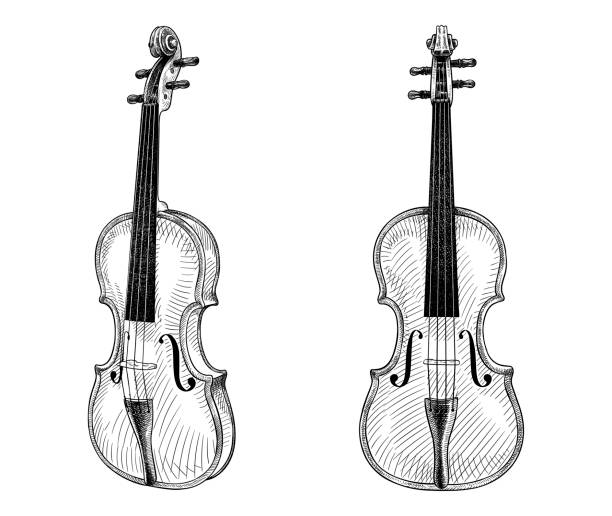 Vector drawing of a violin Old style illustration of an old violin violin stock illustrations