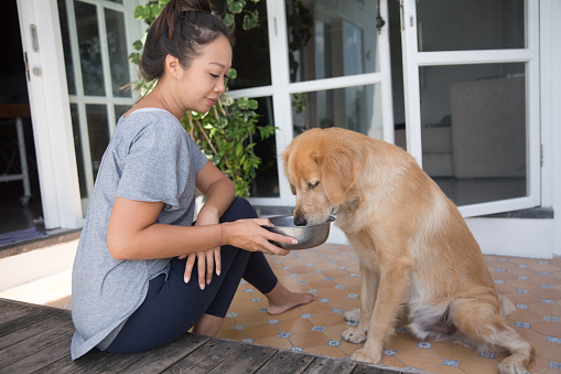 istock Chinese Woman Giving Water to Her Pet at the Patio 1369726311