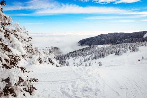 istock High mountain landscape with sun 1369726941