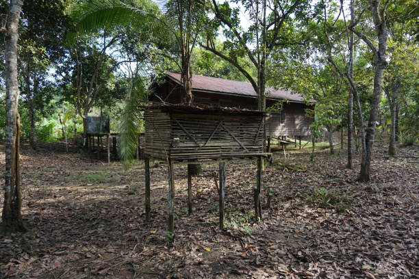 istock wooden chicken coop 1369728313