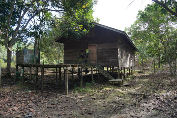 istock wooden house on stilts 1369728367