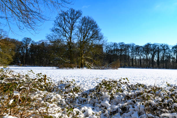 Snowy winter landscape during a beautiful winter day around the Windesheim estate in Overijssel, Netherlands.