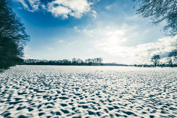 Dry winter grass covered by snow, defocused, evening orange light, sunset back lit