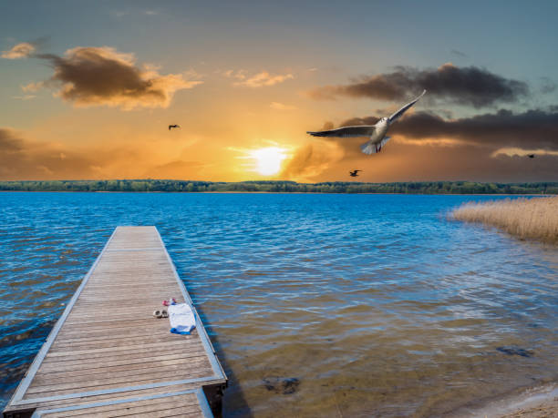 Jetty in the sunset at the Mecklenburg Lake District Jetty in the sunset at the Mecklenburg Lake District mecklenburg lake district photos stock pictures, royalty-free photos & images