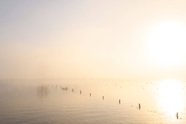 Mist rising up from the river IJssel during a cold winter morning  in the Netherlands. The water level is high and there is snow and ice on the levees on the shore of the river during this beautiful morning sunrise.