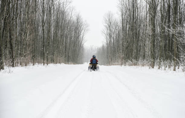 istock A quadricycle driving away through the snowy forest. 1369732462