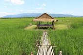 istock Bamboo hut for shade in a green field in Thailand 1369733494