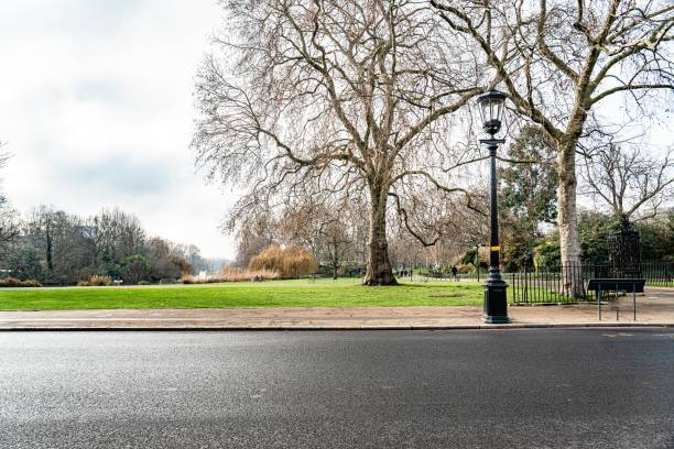 st. james's park in london - england field autumn season stock-fotos und bilder