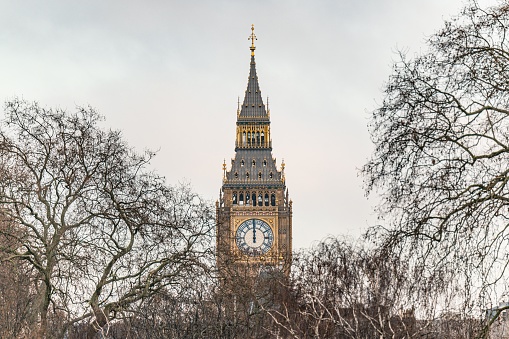The skyline of Westminster through tree branches in winter
