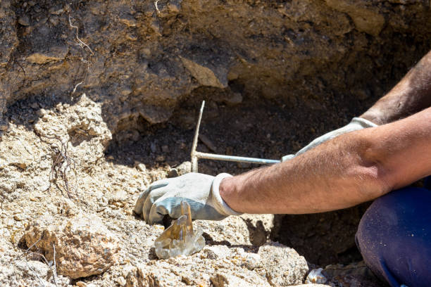 istock The hands of a man extracting minerals. 1369738982