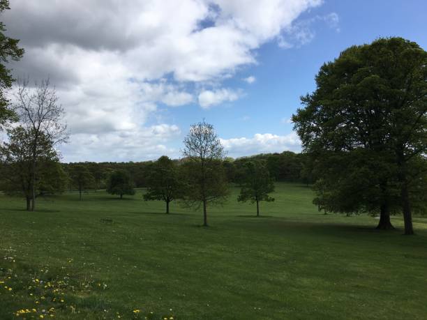 istock Leeds Gardens and parks 1369740668