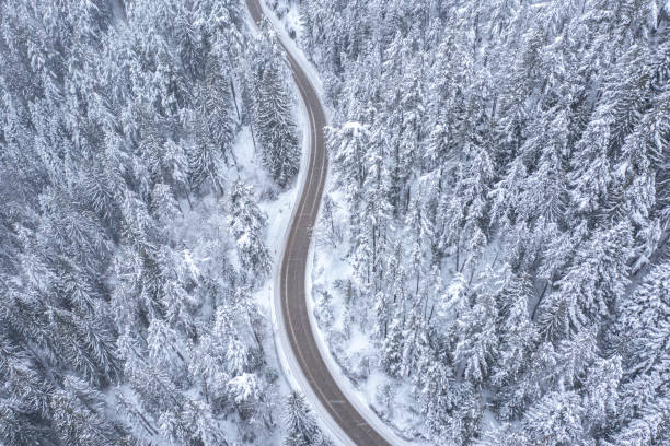 istock High Mountain Road Passing Thru High Snowy Pines 1369741231