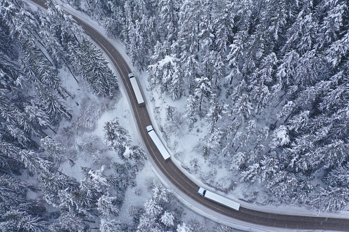Convoy of trucks moving during snowfall on winding and curving, meandering mountain road passing thru a snowy pine forest
