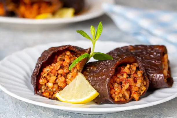 Traditional delicious Turkish foods; dried eggplant stuffed (Turkish name; Kuru patlican dolmasi)