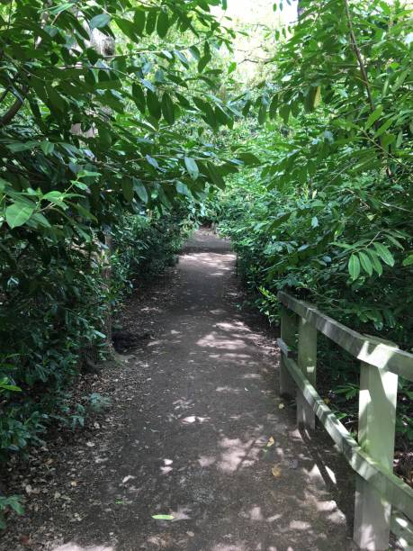 istock Leeds Gardens and parks 1369741895