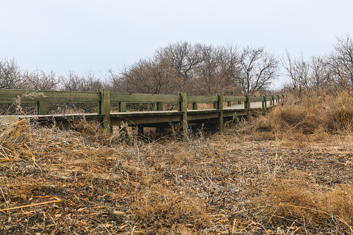 Wooden bridge in the forest in Hebei province, China