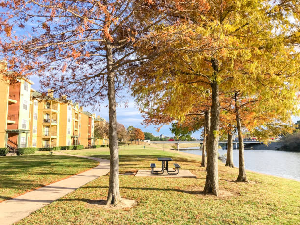 istock Riverside picnic table under bald cypress tree view to backyard of riverside apartment building complex in Dallas, Texas, America 1369743108