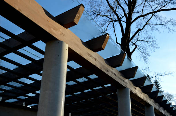 braun geklebte holzstruktur der pergola, die von glatten zylindrischen weißen säulen getragen wird, die eine pavillon-pergola schützen. das dach besteht aus lamellen und glasscheiben, baumkrone, kvh, ahorn nackter baum - plastering station stock-fotos und bilder