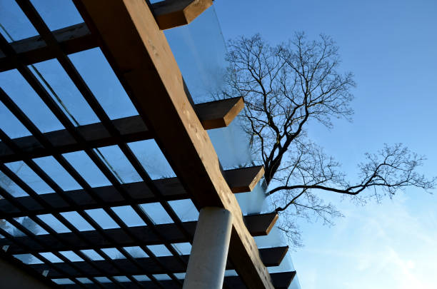 istock brown glued wooden structure of the pergola supported by smooth cylindrical white columns shelter of a gazebo pergola. the roof is made of slats and glass panes, tree top, kvh, maple bare tree 1369745745