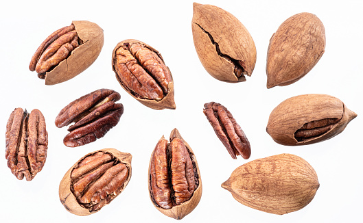 Set of shelled and cracked pecan nuts isolated on white background.