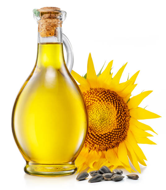Bottle of sunflower oil, sunflower and seeds isolated on white background. The most popular of vegetable oils. stock photo