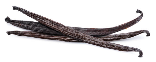 istock Dry vanilla beans isolated on white background. 1369750148
