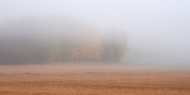 istock Fog in Tuusula in Finland. 1369751196